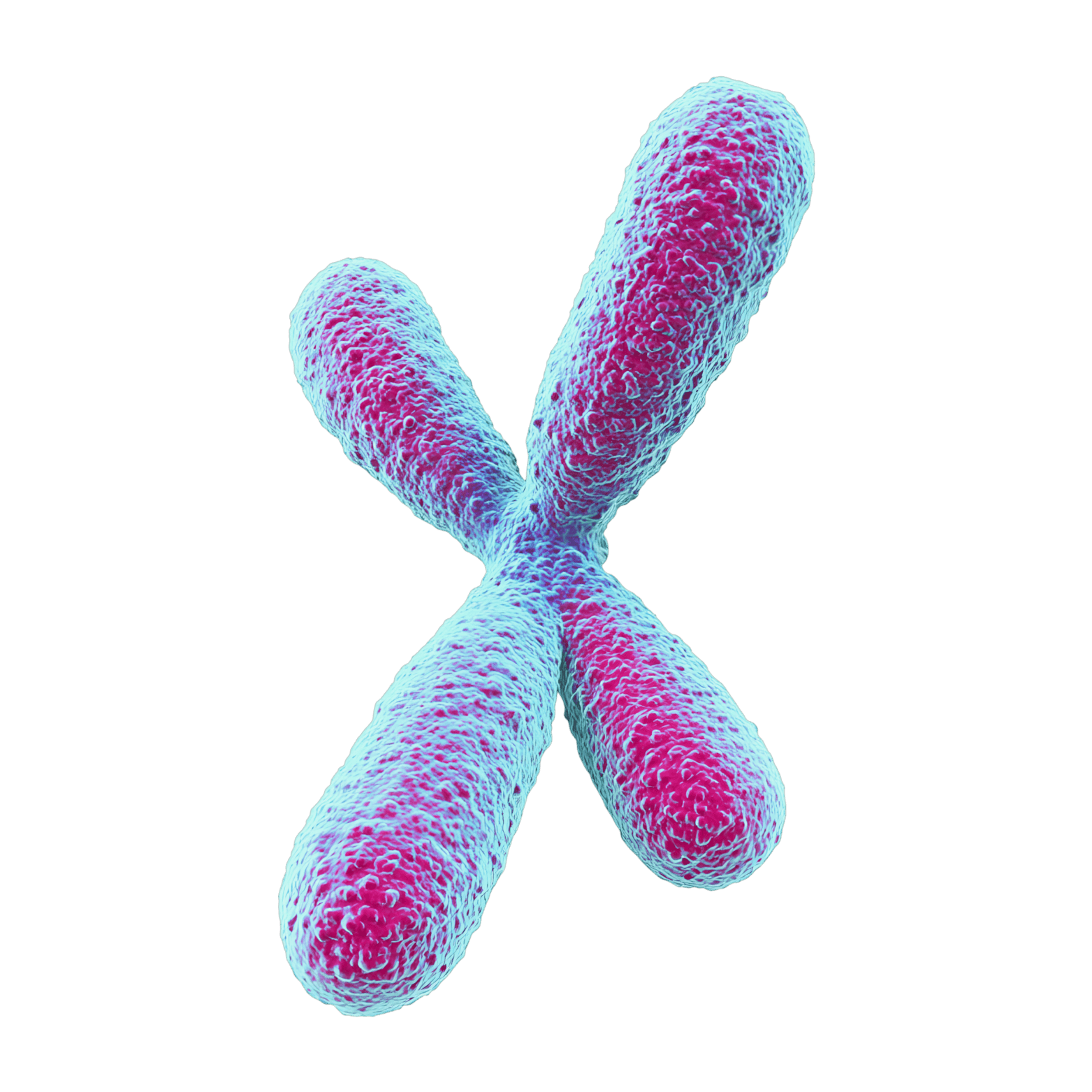 Genomics